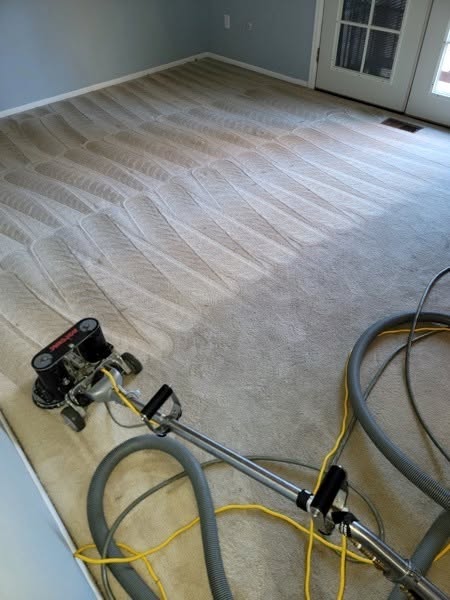 Patent pending carpet cleaning process — machine working through carpet rows