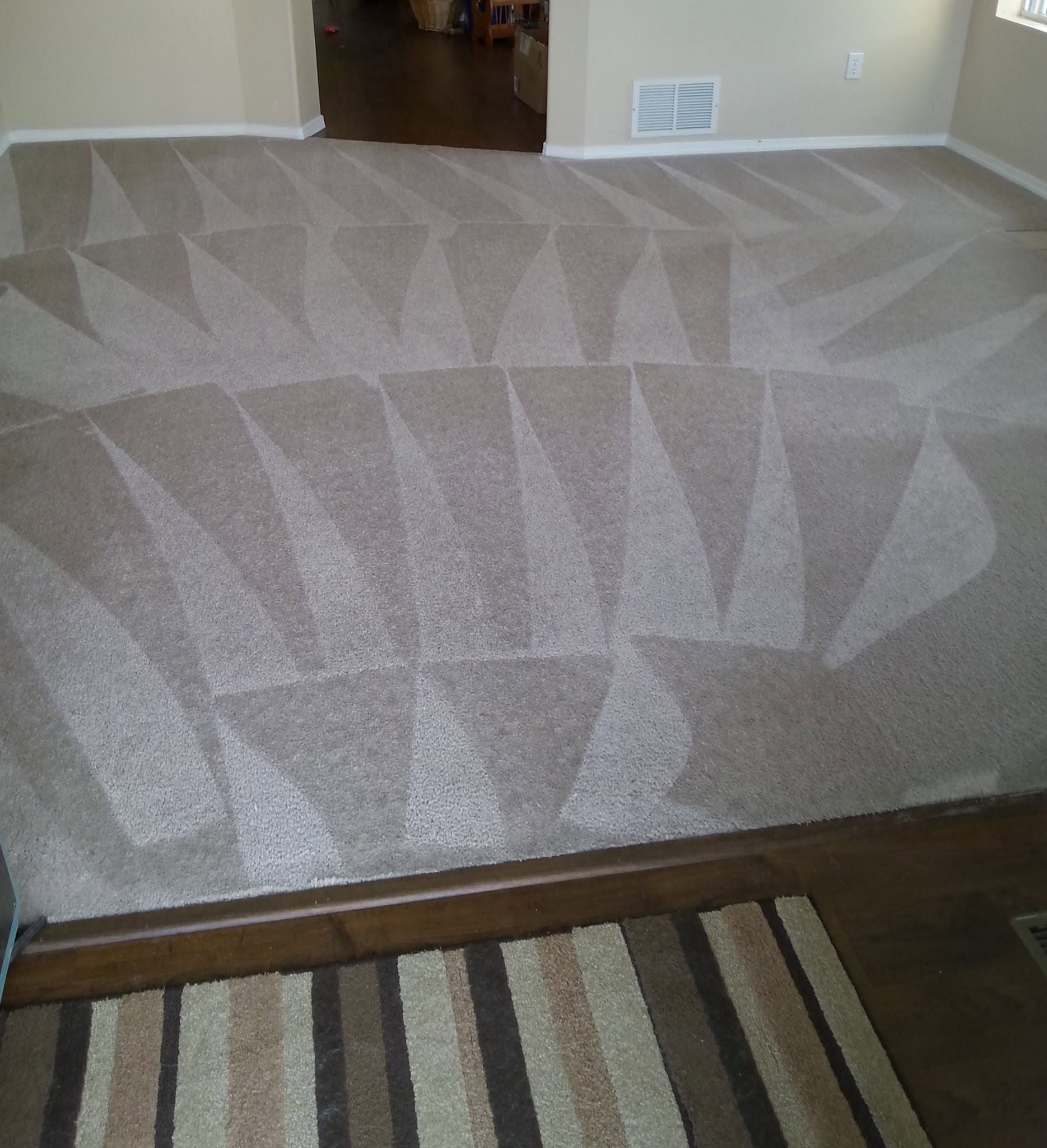 Carpet Cleaning